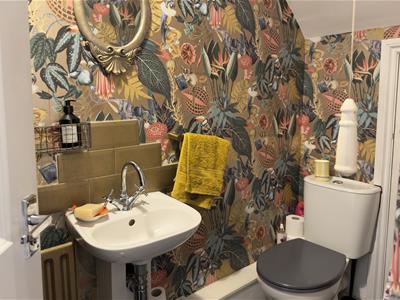 Picture 15
